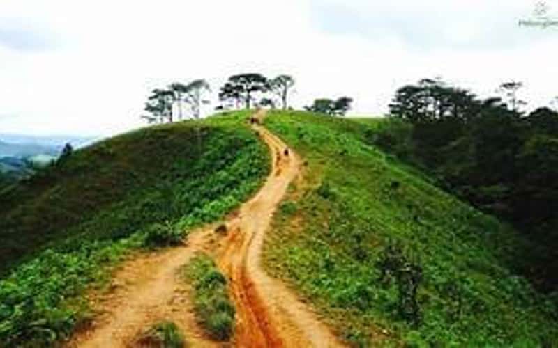Tà Năng - Phan Dũng: Cung đường trekking đẹp nhất miền Nam
