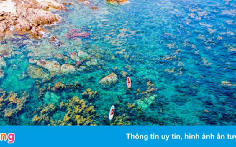 Hè về Hòn Khô đón mùa rong mơ