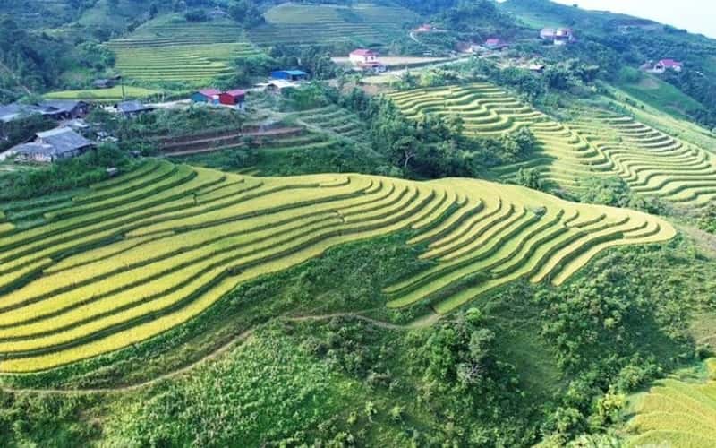 Ghé Bắc Kạn ngắm Mù Là mùa hoa nở rộ, xiêu lòng với khung cảnh đẹp như tranh