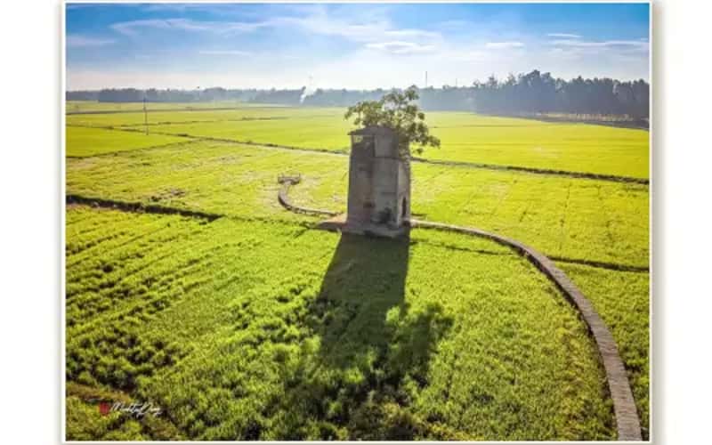 Chùm ảnh: Lò gạch cũ bỏ hoang thành nơi check in nổi tiếng