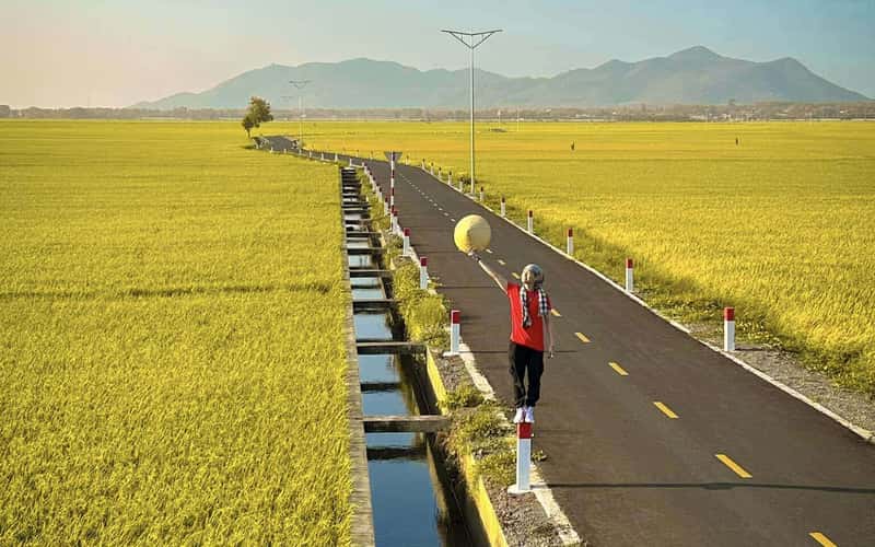 头顿金色田野之间的道路引起热议，因为它像卡通片一样美丽