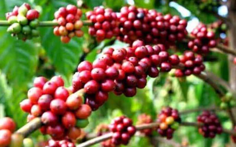 Khám phá 3 nơi đặc biệt ít người biết tại Việt Nam