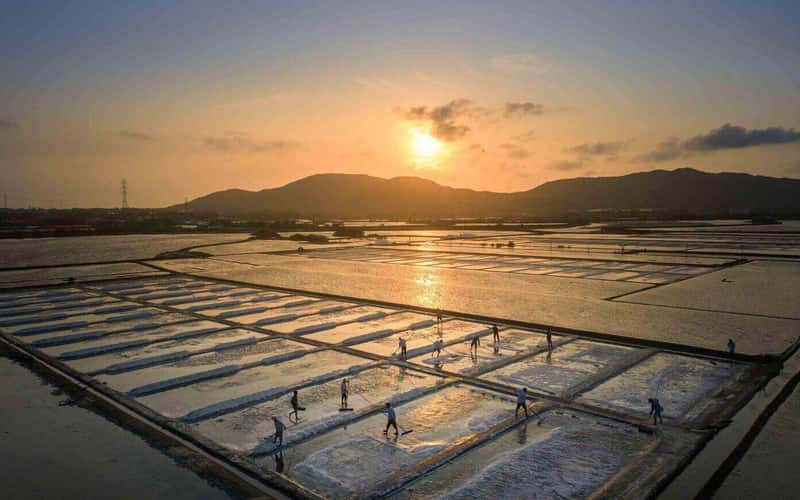 Ruộng muối Long Điền trong ánh bình minh
