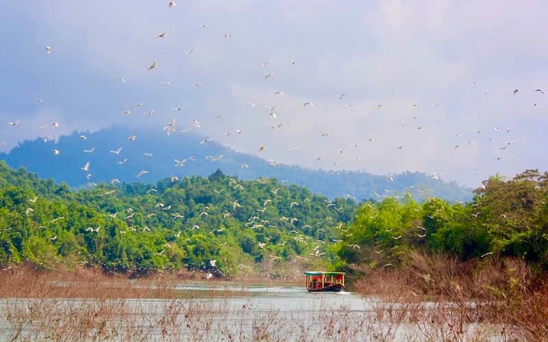 Vẻ đẹp hoang sơ của 'viên ngọc xanh' ở Hà Tĩnh