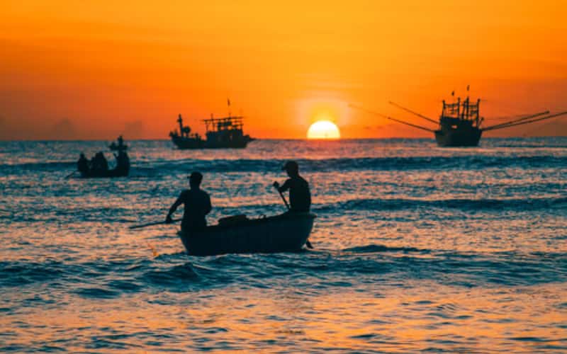 Chợ cá lớn nhất Quảng Nam lúc sáng sớm