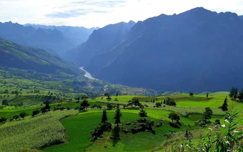 Ngắm nhìn 'thảo nguyên châu Âu' ở Hà Giang