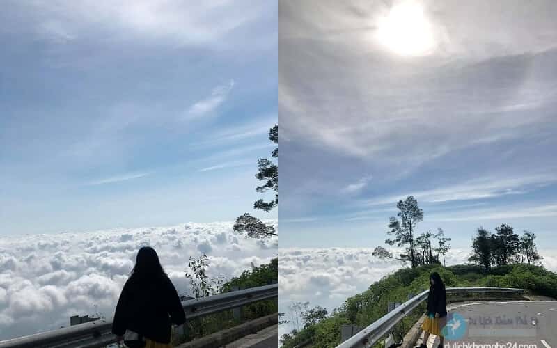 巴维的浮云海，游客在河内寻找像大叻那样的美丽照片