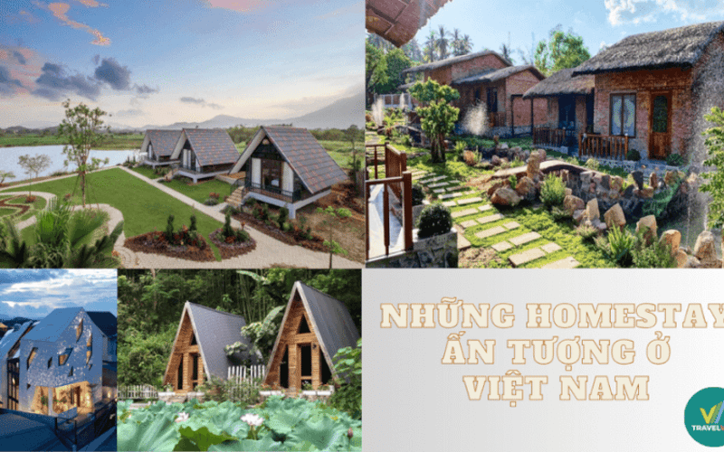 Gợi ý những Homestay ấn tượng tại Việt Nam
