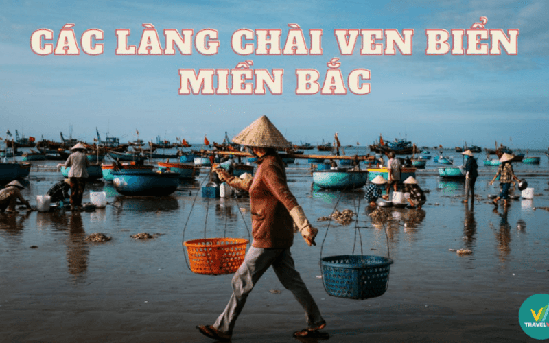 Top 4 làng chài ven biển miền Bắc Việt Nam đẹp nhất