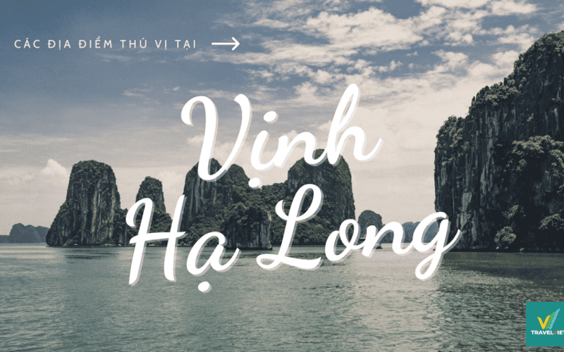 Bật mí 8+ điểm du lịch tại Vĩnh Long đẹp mê mẩn không thể bỏ lỡ