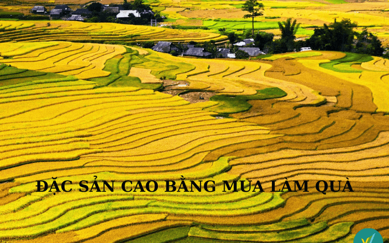 Đi du lịch tại Cao Bằng thì mua gì về làm quà?