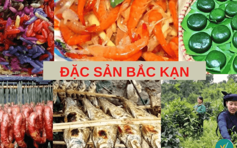 Đặc sản tại Bắc Kạn phải thử 1 lần khi đi du lịch và mua làm quà