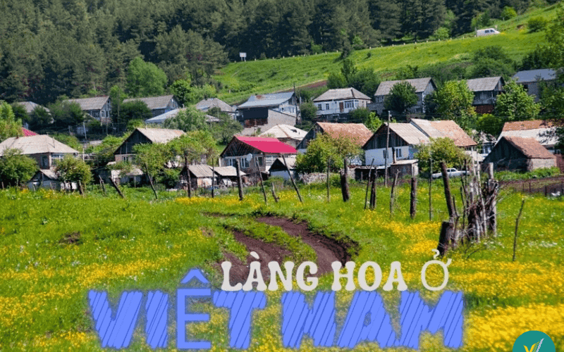欣赏越南最美丽和著名的花村