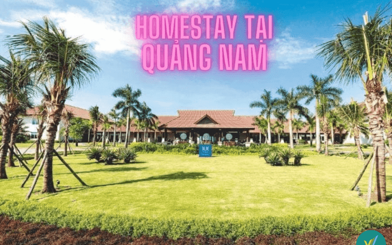 Top 10+ Homestay tại Quảng Nam vừa đẹp vừa chất