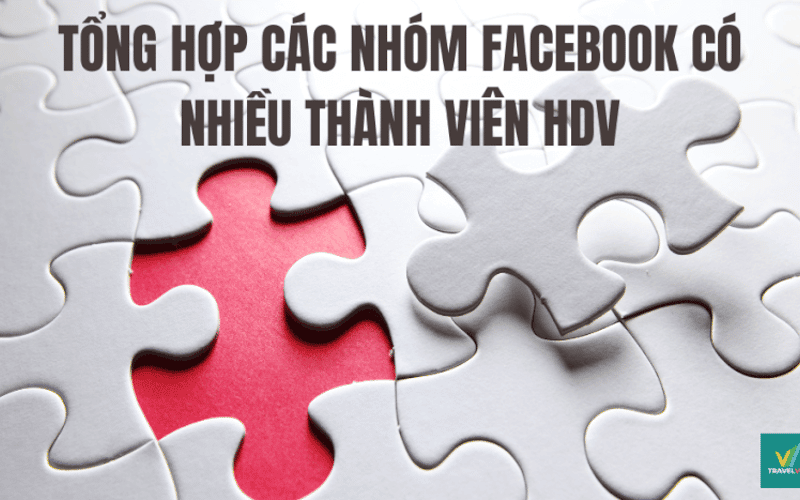 TOP Facebook 群组拥有众多导游成员