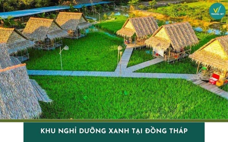 Top 5 khu nghỉ dưỡng xanh tại Đồng Tháp có view cực đẹp