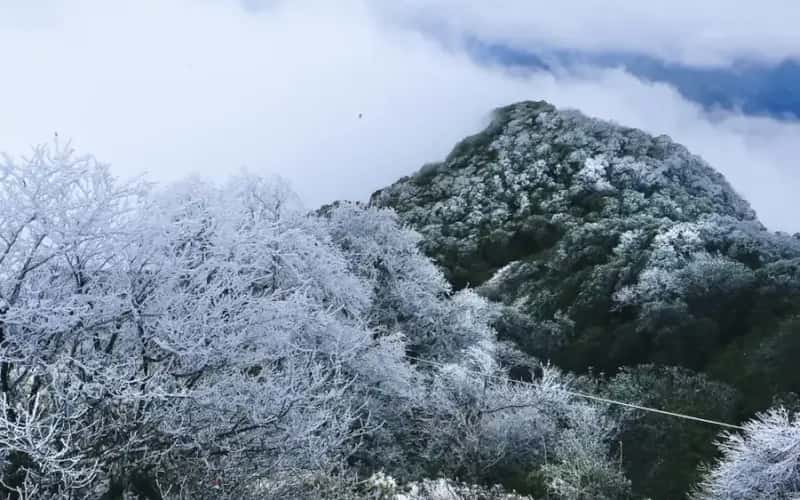 Rừng quốc gia Phia Oắc - Phia Đén: 'Viên ngọc quý' của Cao Bằng