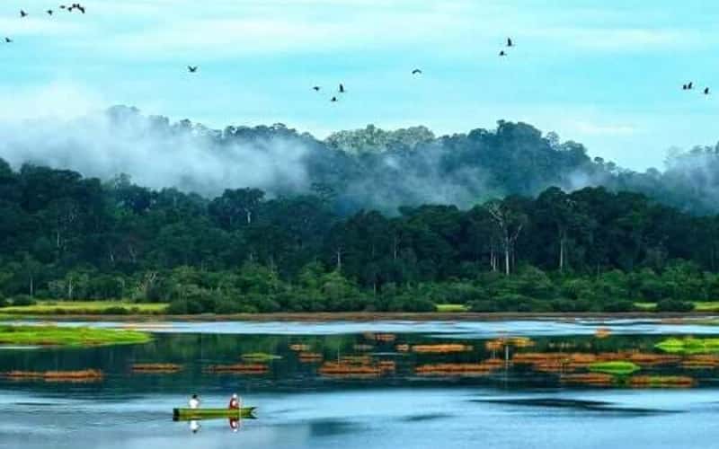 Leave the bustling city and return to Nam Cat Tien to bathe in the forest rain