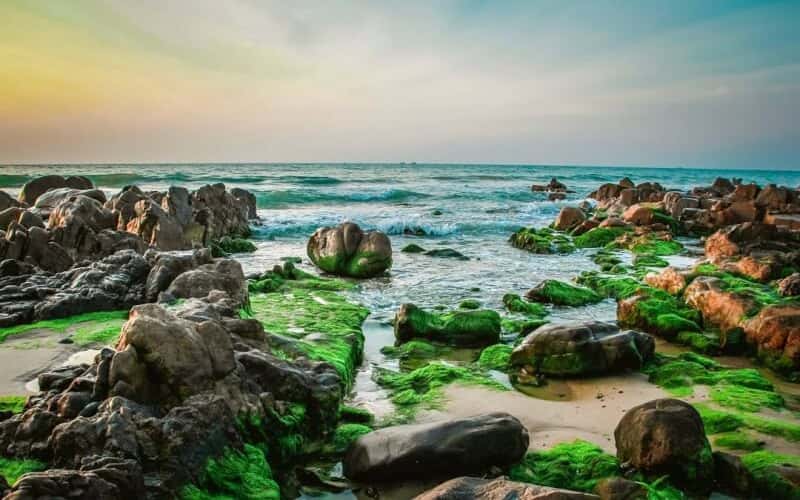 コータックの苔絶景シーズン、旅人たちが心ゆくまで体験