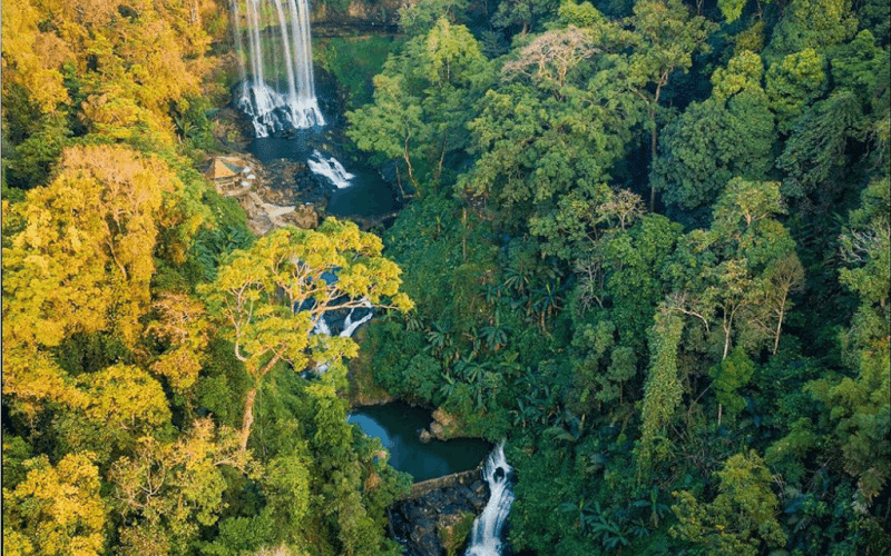 Đamb'ri Waterfall: A Fairyland Retreat Amidst Bảo Lộc's Enchanting Wilderness