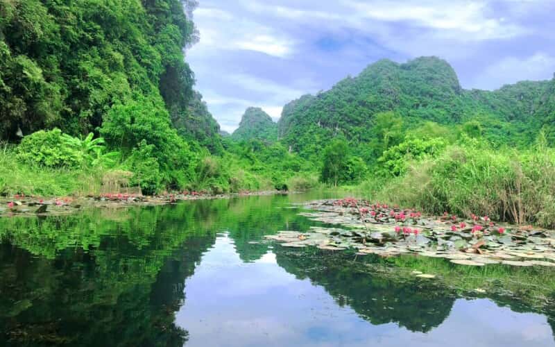 Đẹp nao lòng mùa cây thay lá