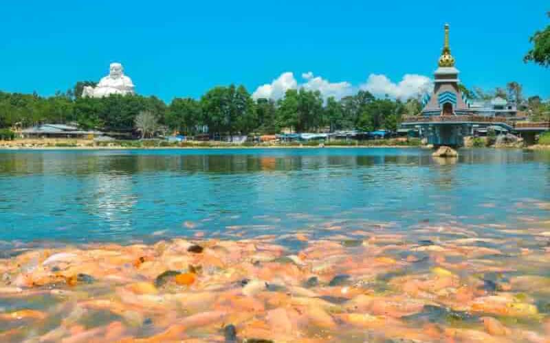 Lên "nóc nhà" miền Tây... cưỡi gió, săn mây