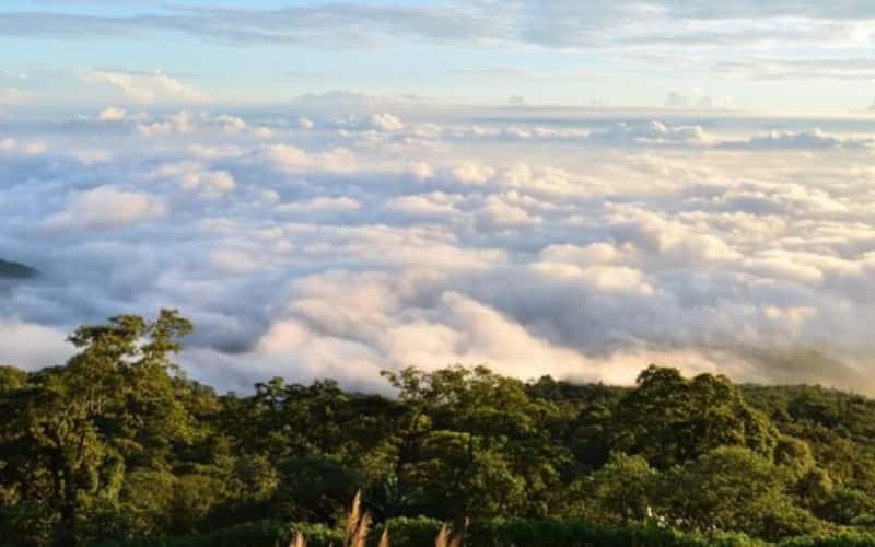 Ba Vi's Undulating Sea of Clouds: Capture Da Lat-esque Photography Moments Just Outside Hanoi!