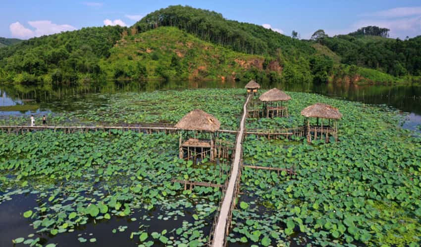 云海荷花池