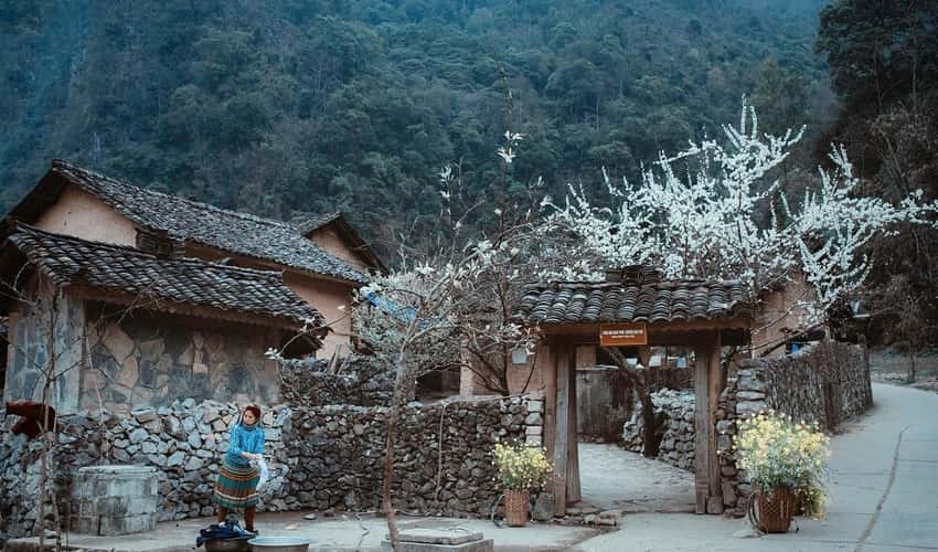 鲍家。