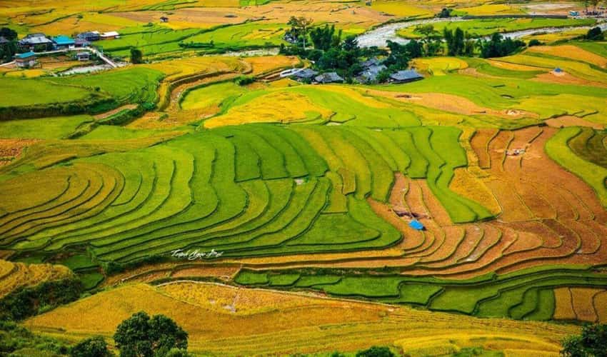 무엉로(Muong Lo) 들판