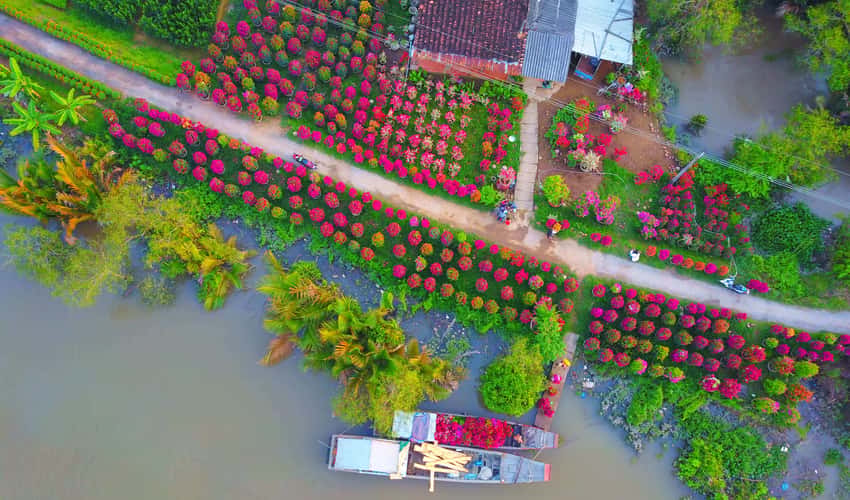 Làng hoa giấy Phú Sơn