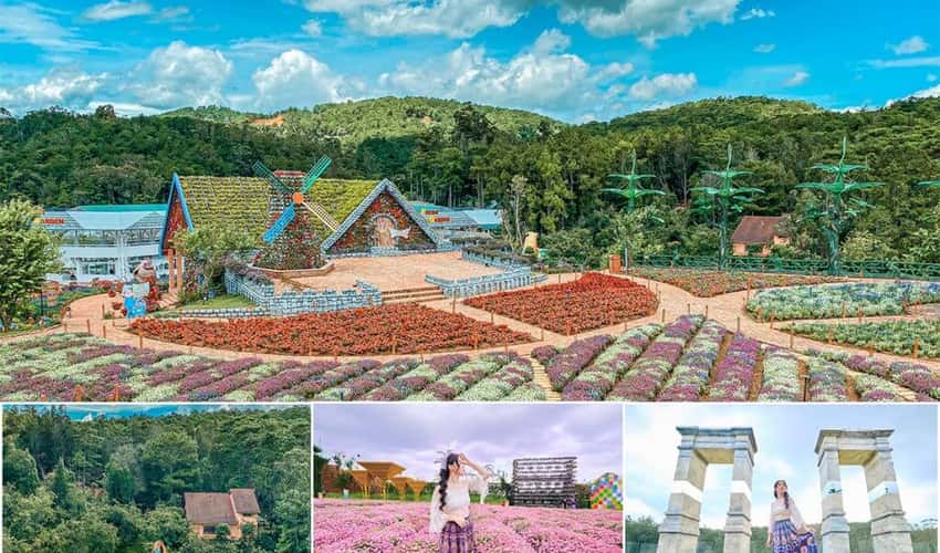 大叻新鲜花园