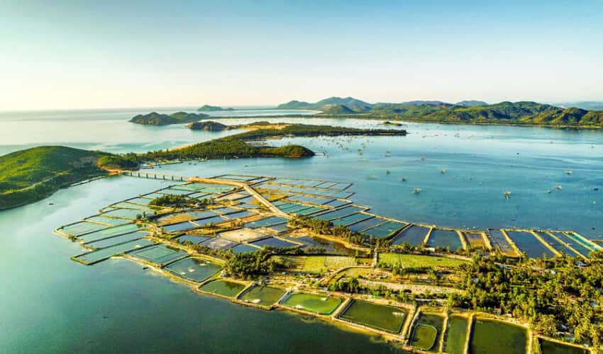 奥贷款泻湖