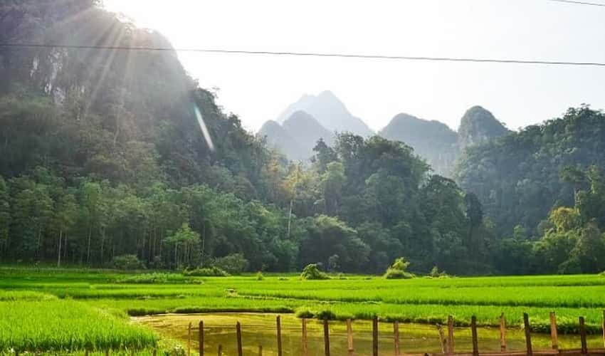 Bản Cỏi