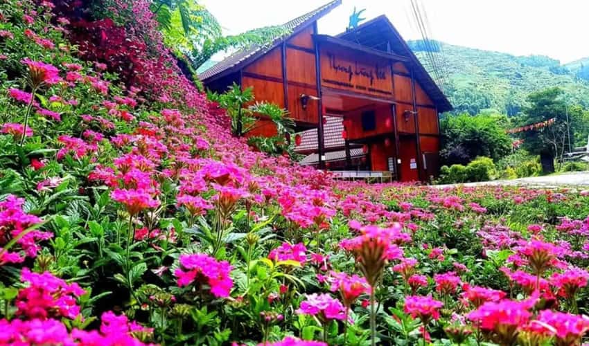 バクハの花の谷