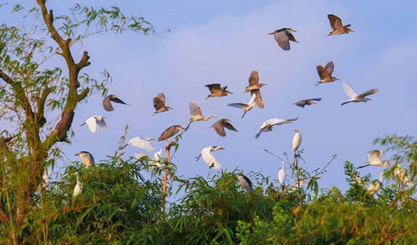 ハイルーコウノトリ園