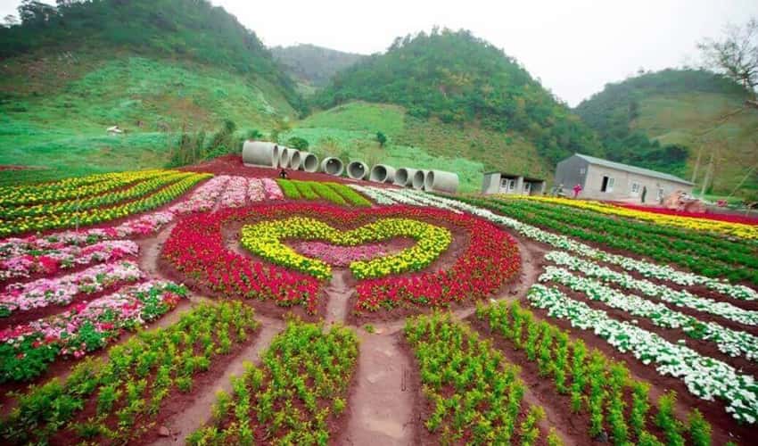 木州热带花园