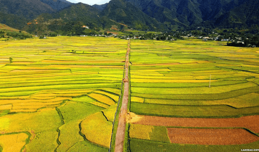 Tam Duong terraced fields