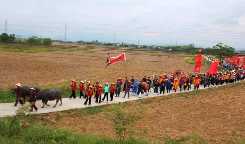 Shepherd's Festival