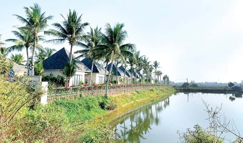 Bãi Dừa Tư Nghĩa