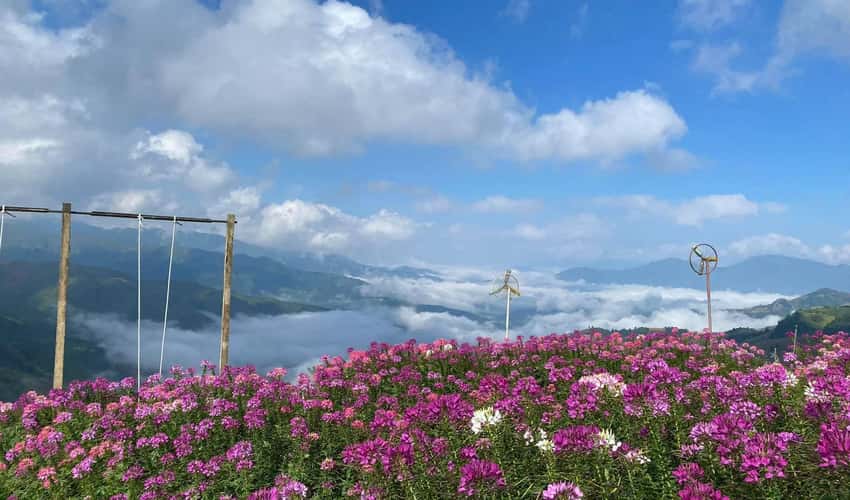 Khu du lịch Pha Đin Pass