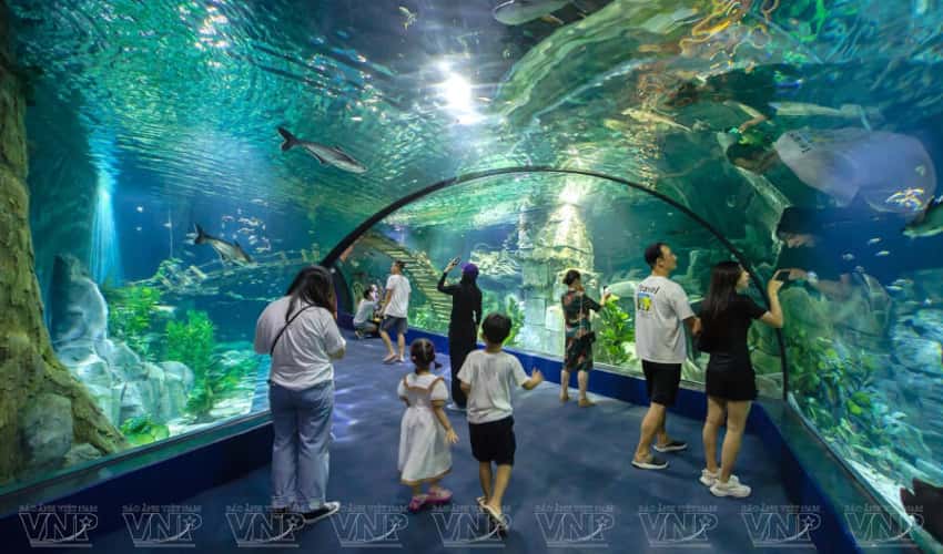 Lotte World Hanoi Aquarium