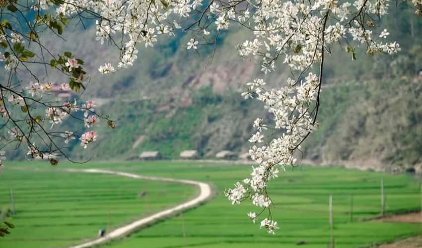 Bản du lịch cộng đồng Nà Sự