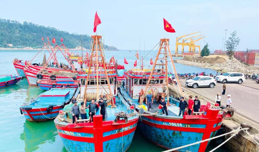 Festiaval Cửa Lò năm 2026