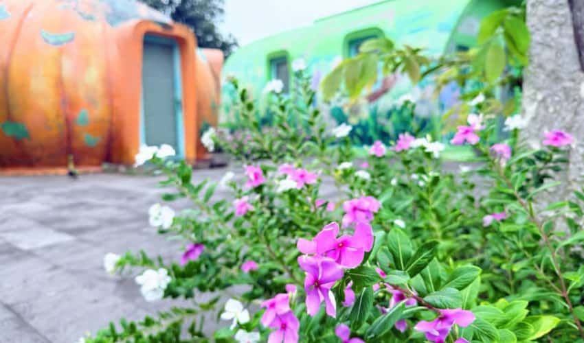 Da Lat Tien Canh Soc Son