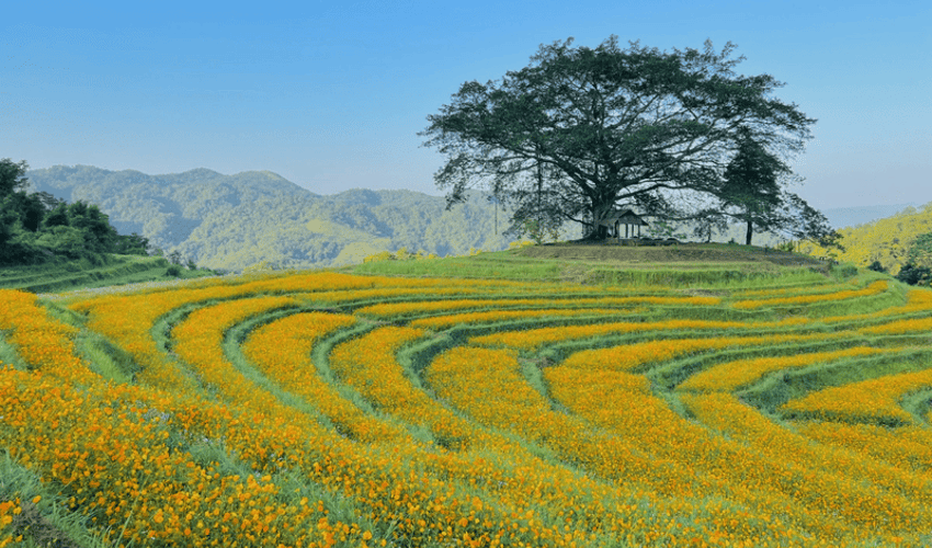 Xom Mung 花山