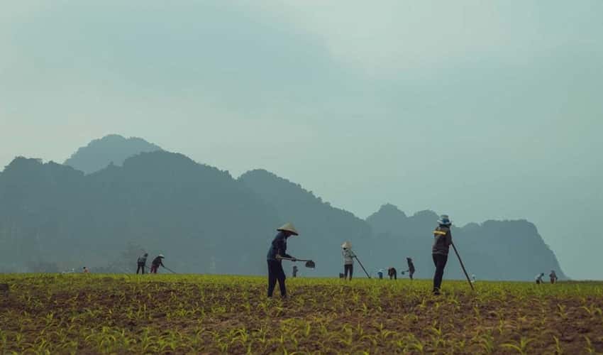 Làng du lịch Tân Hóa