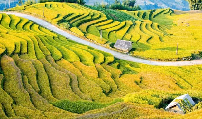 Lễ hội mùa Thu Y Tý 2026