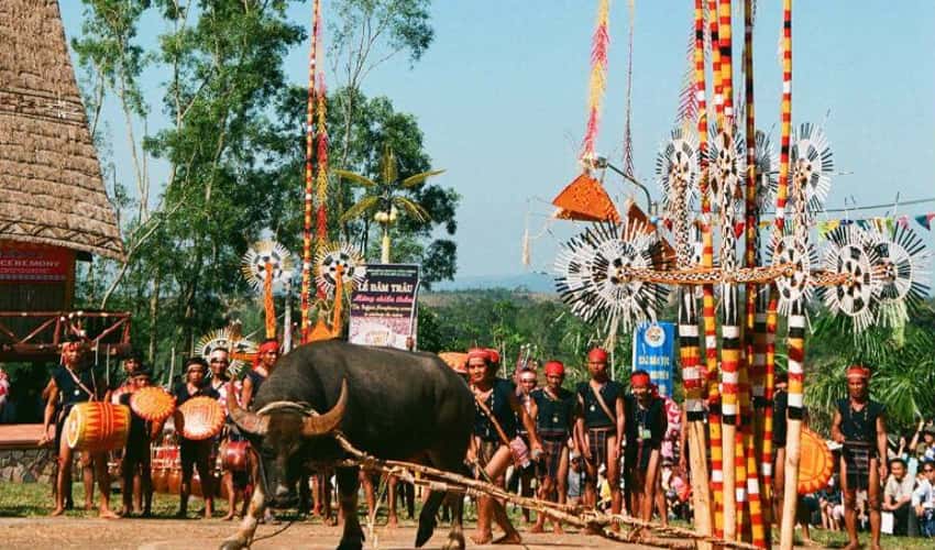 Lễ hội đâm trâu của người Bana