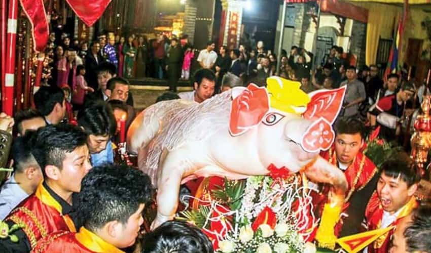 Lễ hội rước lợn ông Bồ